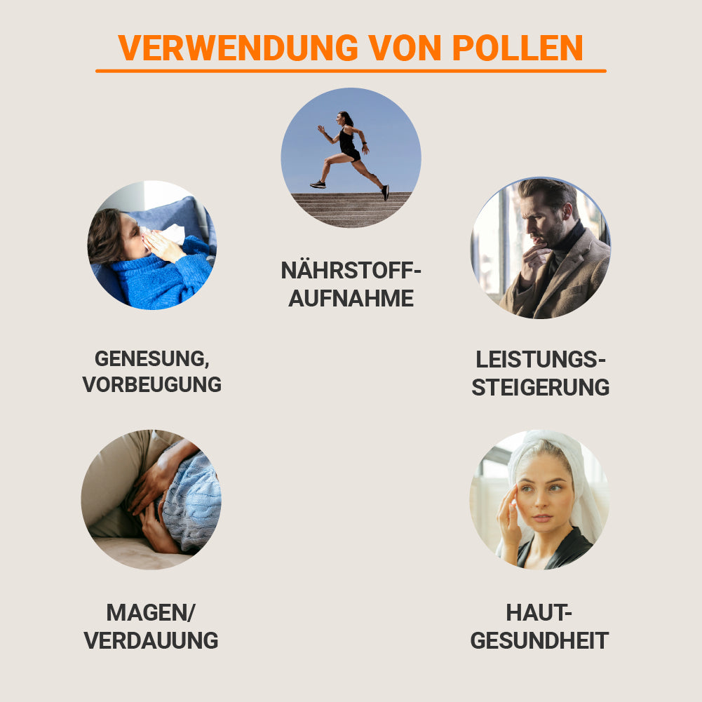 Bunte Wild-Pollen