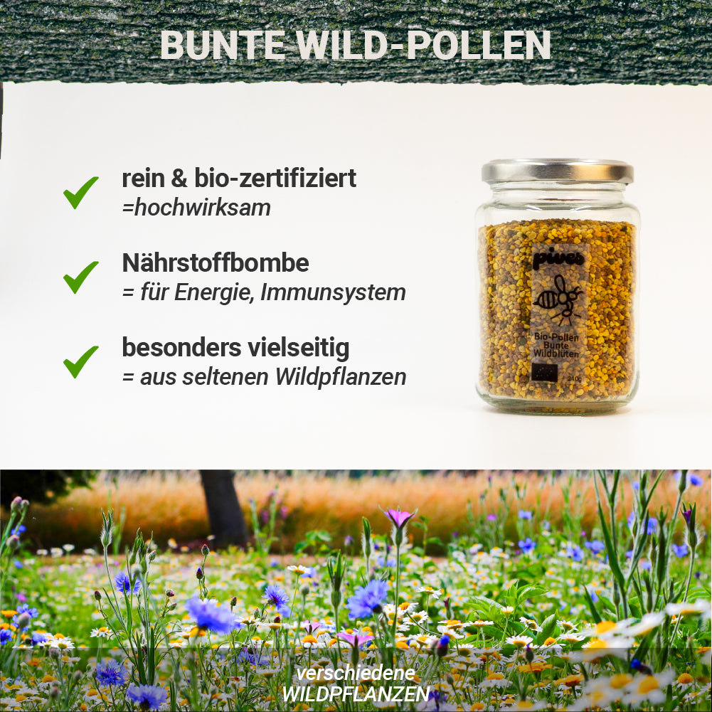 Bunte Wild-Pollen