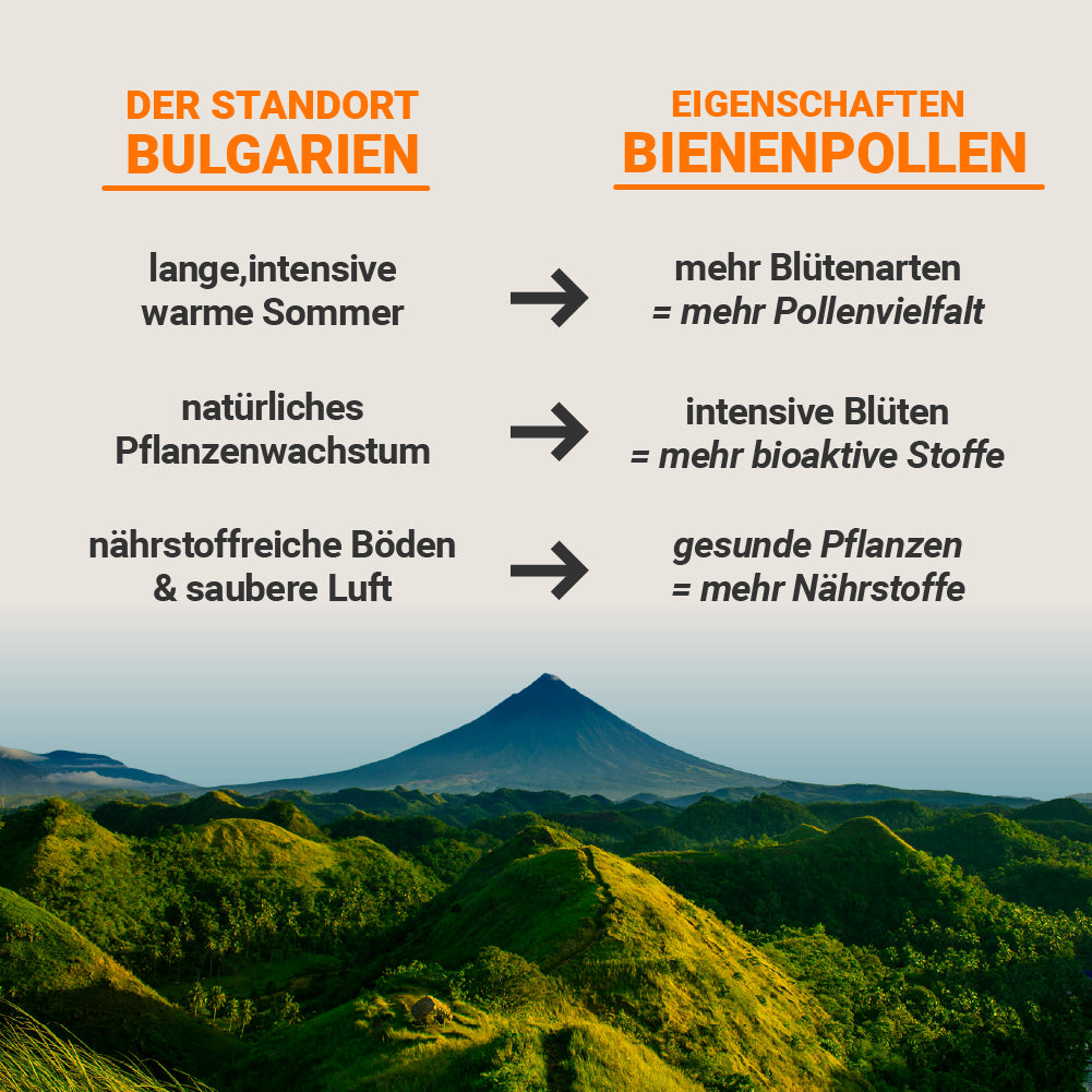 Bunte Wild-Pollen