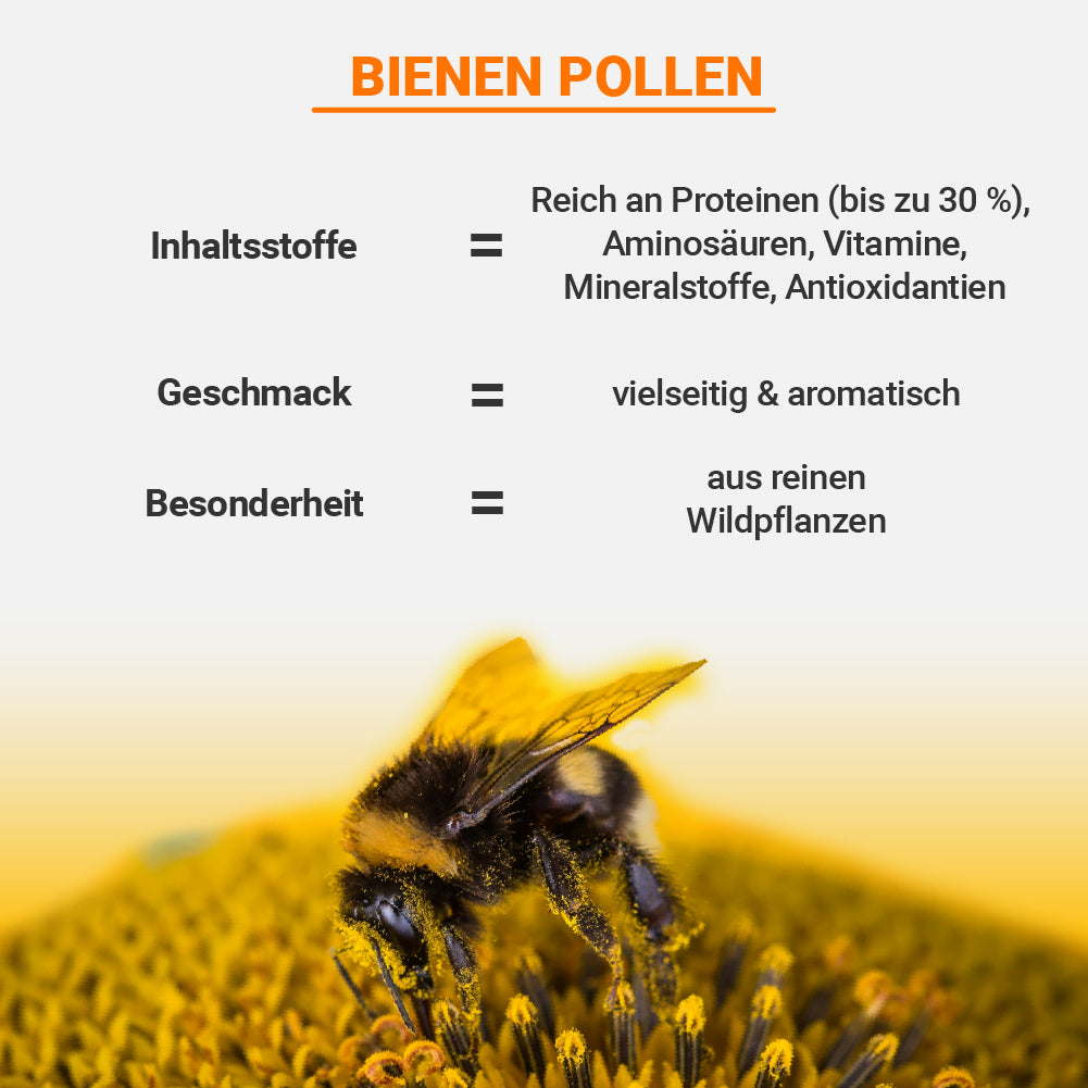 Bunte Wild-Pollen