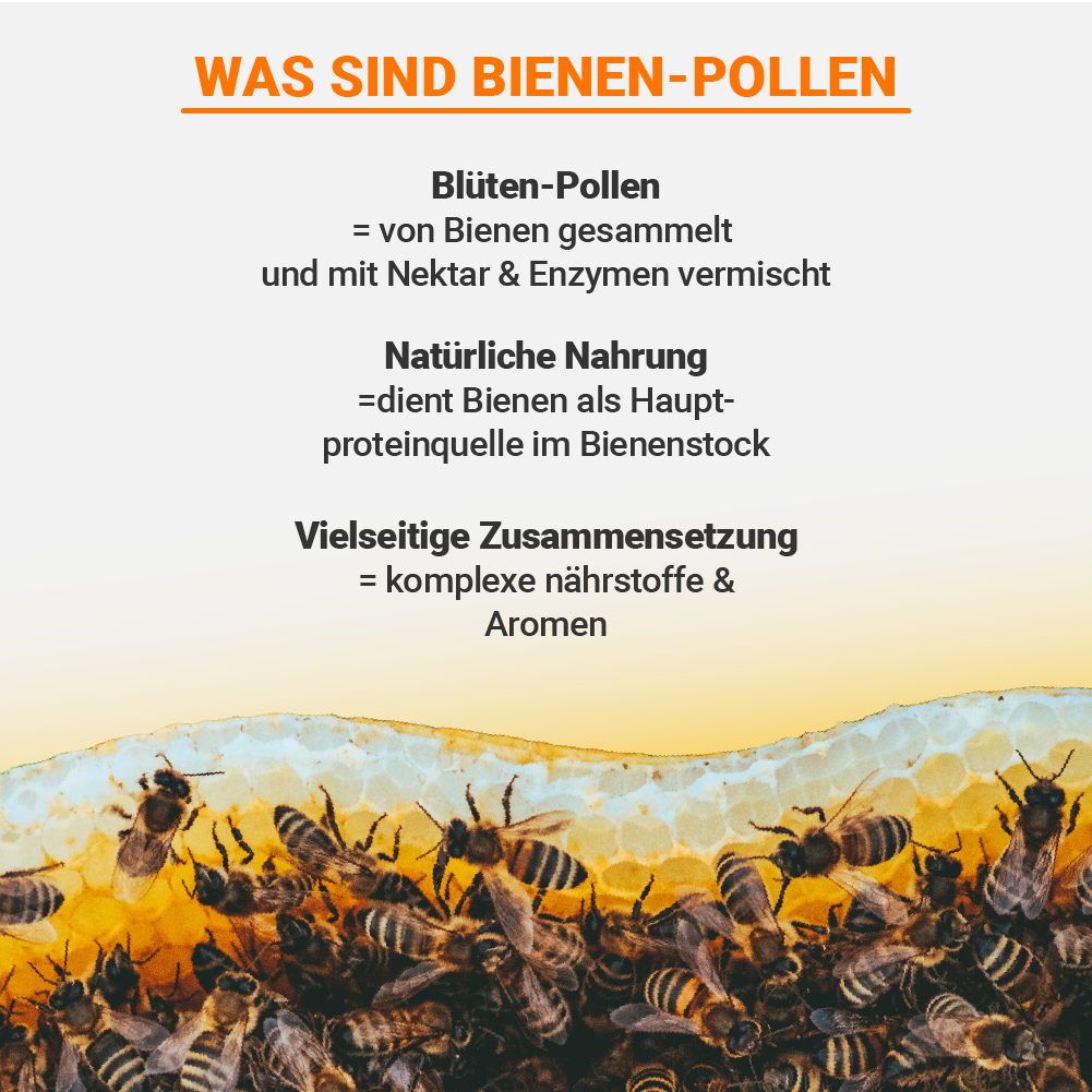Bunte Wild-Pollen