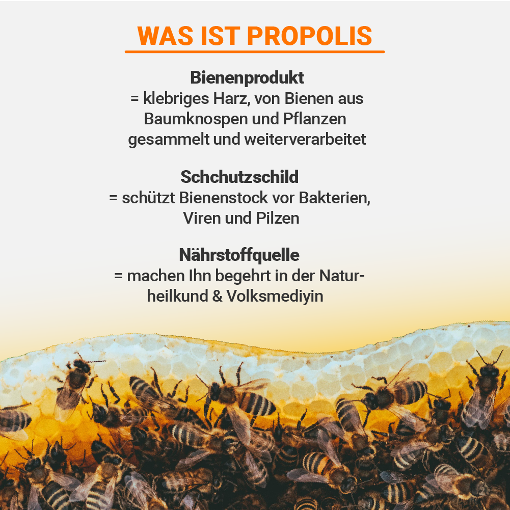 Propolis Creme