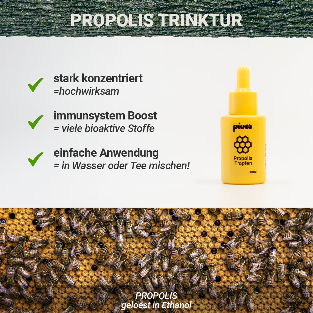 Propolis Tinktur